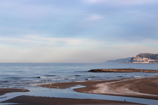 coast of the sea