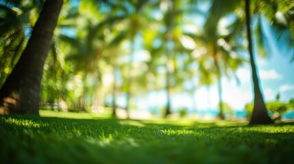 Fototapeta premium Blur nature bokeh green park by beach and tropical coconut trees