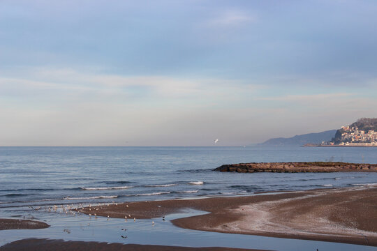 beach and sea
