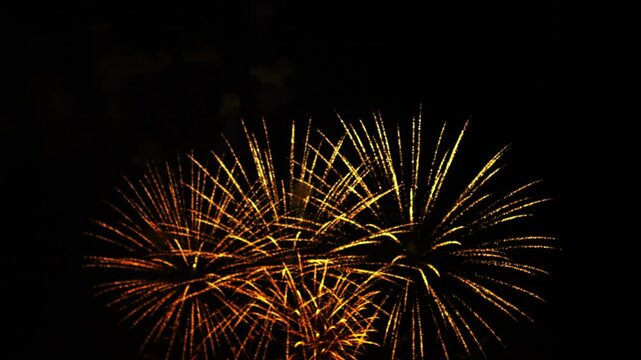 gold red orange sparks scattering fireworks on the black night sky. General plan