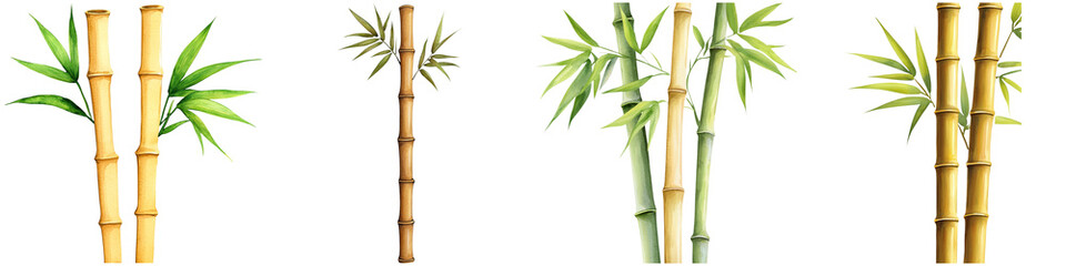 Chinese New Year luck and gold watercolor, A collection of bamboo stalks featuring varying heights and leaf arrangements, showcasing their lush greenery and natural texture.