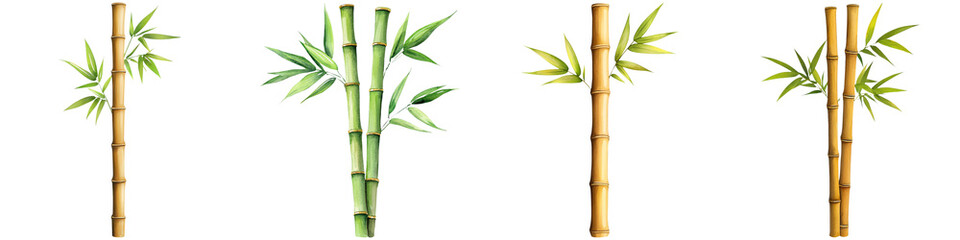 Fototapeta premium Chinese New Year luck and gold watercolor, A collection of bamboo stalks displaying varying colors and leaf arrangements, showcasing the plant's diversity and natural beauty.