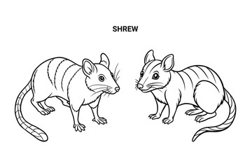 Editable Shrew Isolated Outline Vector Illustration