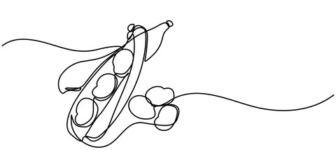 Fava beans simple color vector illustration. One continuous line art drawing with lettering organic fava beans, pro vector illustration isolated on white background.  beans vector pattern for vegan .