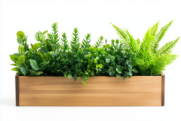 Fototapeta premium Rustic Wooden Planter Box with Lush Green Plants on White Background Perfect for Home Gardening and Modern Indoor Decor