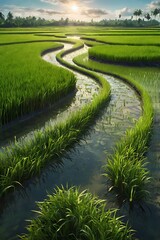 Obraz premium view of rice plants in the rice fields