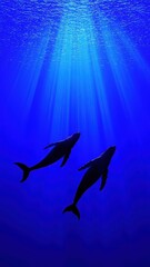 Obraz premium Two silhouettes of dolphins swim gracefully underwater, illuminated by beams of light piercing through the deep blue ocean.