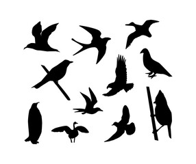bird, silhouette, vector, animal, nature, illustration, flying, birds, fly, black, wildlife, sea, icon, wings, animals, wild, seagull, drawing, set, wing, silhouettes, pigeon, gull, art, fish