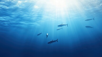 Obraz premium Schools of fish swim peacefully in clear blue ocean waters during daylight hours