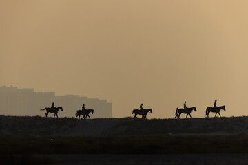 Silhouette of people riding horse during sunset, Bahrain