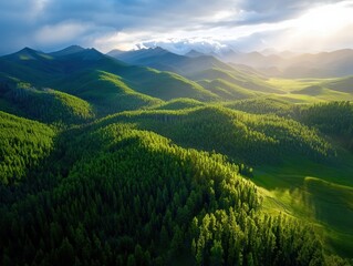 Fototapeta premium A stunning aerial view of lush, green hills and mountains illuminated by soft sunlight, showcasing the beauty of nature and diverse landscapes.
