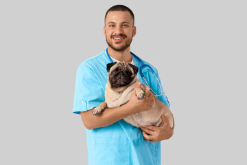Male veterinarian with pug dog on light background