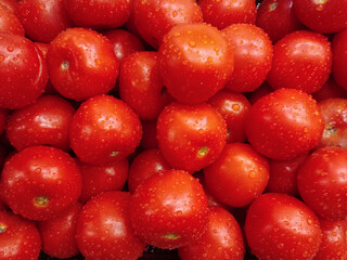 Close-up of ripe red tomatoes covered with water drops