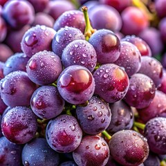 Fototapeta premium Fresh Purple Grapes: A Juicy and Sweet Snack
