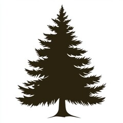 Obraz premium A tall silhouette of a conifer tree against a plain background, highlighting its pine-like shape and textured branches.