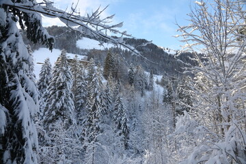 winter hiking in Allières, Switzerland