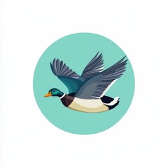 Obraz premium A colorful illustration of a flying mallard duck against a light teal background.