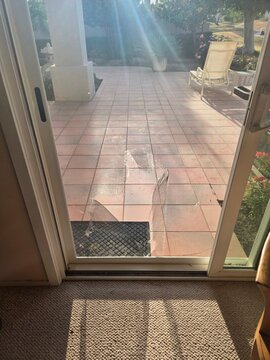 Torn screen door