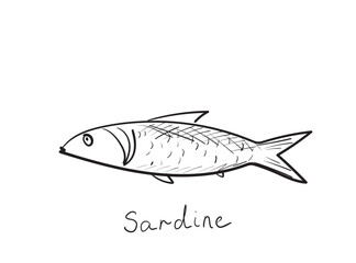 Hand drawn pilchard, doodle sardine fishes, sketched fish pictogram, sardines icon, sketchy sea animals