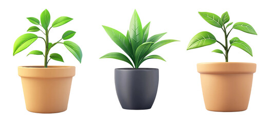 Set of 3D Icons of plant, cartoon style isolated on a transparent background, designed as a game art asset. Simple yet detailed design, vibrant colors, and isometric view
