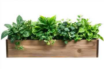 Fototapeta premium Wooden Planter with Green Plants on White Background for Minimalist and Rustic Indoor Decor