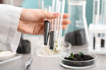 Female scientist holding test tubes with seedlings and soil in laboratory, closeup