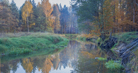 River with a forest in the background