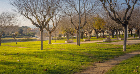 Park with trees and a path