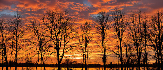 Fiery Sunset Silhouette Lake, Trees, and Autumnal Hues