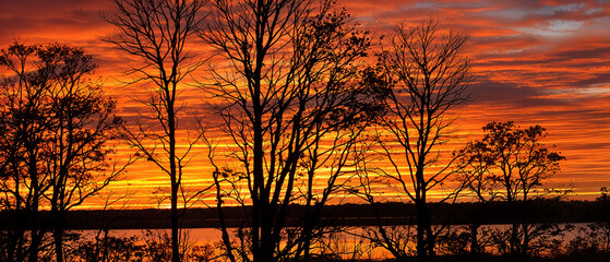 Fiery Sunset Silhouette Lake, Trees, and Autumnal Hues