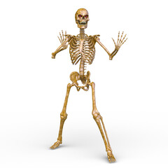 骸骨　3DCGレンダリング