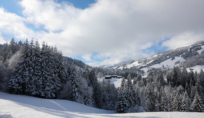 Fototapeta premium Hiking between Gstaad and Saanenmoser