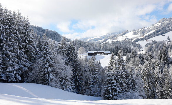 Hiking between Gstaad and Saanenmoser