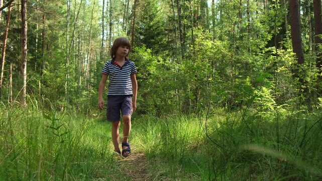 A little boy with long blonde hair in striped T-shirt, shorts and sandals walks along forest path in pine forest and looks around in search of something. Cinematic front shot. Warm sunny summer day