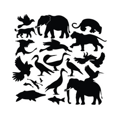 World Wildlife day 5