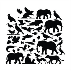 World Wildlife day 4