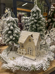 Winter decorations featuring a snow covered house