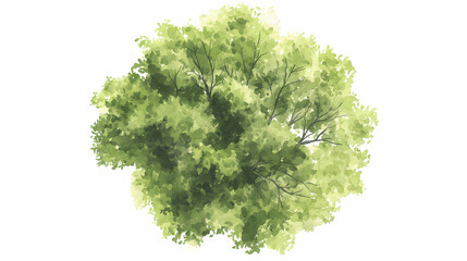 Vector tree top watercolor hand drawn view isolated on white background for landscape plan and architecture layout drawing, elements for environment and garden. Pinnacle. Illustration