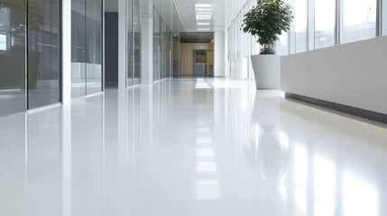 Fototapeta premium Bright Modern Office Corridor with Clean Glossy Floor and Plants