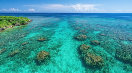 A vibrant coastal scene showcasing clear turquoise waters and coral formations.