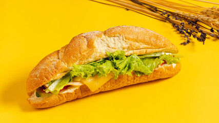 Delicious Italian sandwich  