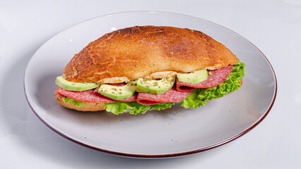 Delicious Italian sandwich  