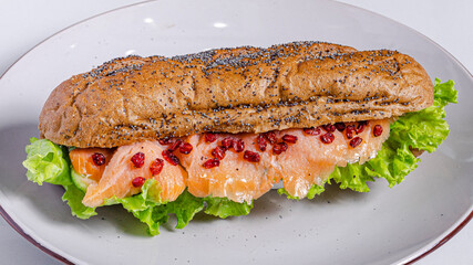 Delicious Italian sandwich  