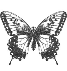 Monarch Butterfly in Old OverPrint Style