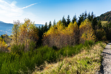 beau paysage &agrave; "Balcon de Bussang" &agrave; Bussang en Automne
