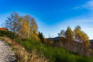 Obraz premium beau paysage à 