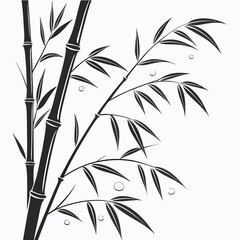 bamboo