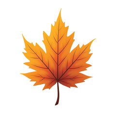 Fototapeta premium autumn maple leaf