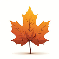 Obraz premium autumn maple leaf