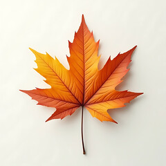 Fototapeta premium autumn maple leaf
